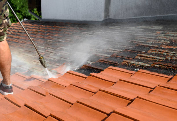 Why Choose Our Certified Pressure Washing Experts for Your Project Needs in Rainbow Lakes Estates, FL?